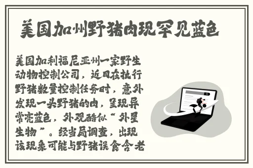 菠萝菠萝蜜视频播放高清免费